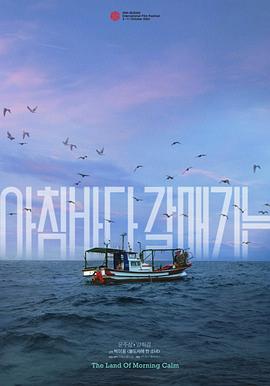 晨海的海鷗